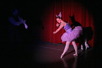 4806 Nutcracker 2008