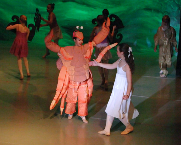 5436 Nutcracker 2008