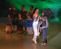 5446 Nutcracker 2008