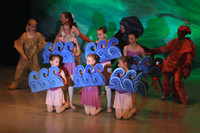 5452 Nutcracker 2008