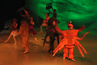 5458 Nutcracker 2008
