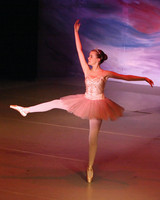 5490 Nutcracker 2008