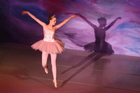 5498 Nutcracker 2008