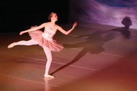 5509 Nutcracker 2008