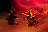 5528 Nutcracker 2008