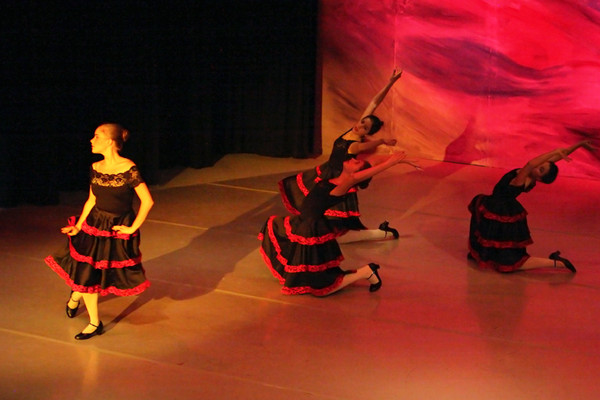 5530 Nutcracker 2008