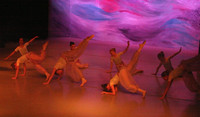 5579 Nutcracker 2008
