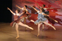 5607 Nutcracker 2008