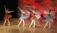 5615 Nutcracker 2008