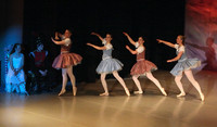 5616 Nutcracker 2008