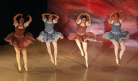 5617 Nutcracker 2008