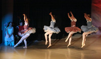 5618 Nutcracker 2008