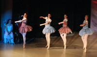 5619 Nutcracker 2008