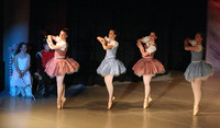 5620 Nutcracker 2008