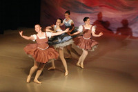 5640 Nutcracker 2008