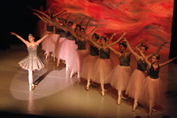 5816 Nutcracker 2008