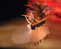 5822 Nutcracker 2008