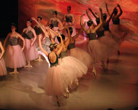 5826 Nutcracker 2008
