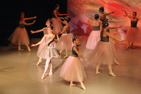 5833 Nutcracker 2008