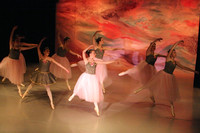 5841 Nutcracker 2008