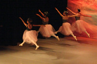 5846 Nutcracker 2008