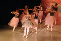 5873 Nutcracker 2008