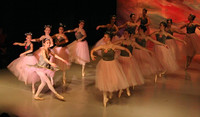 5883 Nutcracker 2008