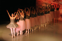 5886 Nutcracker 2008