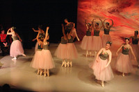 5890 Nutcracker 2008