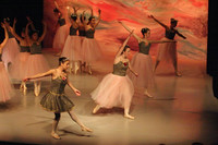 5891 Nutcracker 2008
