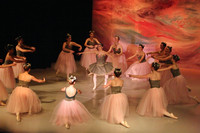 5893 Nutcracker 2008