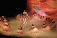 5895 Nutcracker 2008