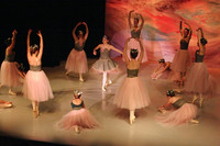 5896 Nutcracker 2008