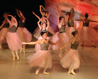 5898 Nutcracker 2008