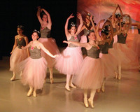 5899 Nutcracker 2008