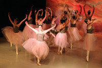5900 Nutcracker 2008