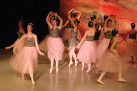 5901 Nutcracker 2008