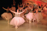 5902 Nutcracker 2008
