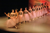 5904 Nutcracker 2008