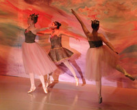 5914 Nutcracker 2008