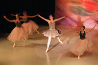 5915 Nutcracker 2008