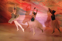 5916 Nutcracker 2008