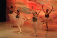 5921 Nutcracker 2008