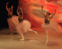 5923 Nutcracker 2008