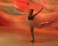 5924 Nutcracker 2008