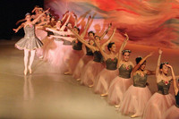 5930 Nutcracker 2008