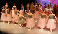 5993 Nutcracker 2008