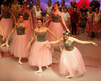 5995 Nutcracker 2008