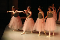 5996 Nutcracker 2008