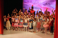6046 Nutcracker 2008